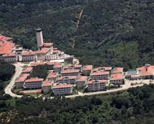 Sözde ağaç koruyucusu Koç, devasa ormanı katletti!