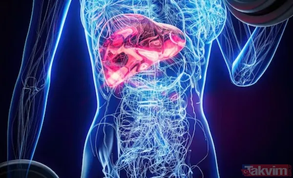 Doktorlar gece başlayan kaşıntısını önemsemedi: Dokuz yıl sonra organ nakliyle hayata tutundu - 7