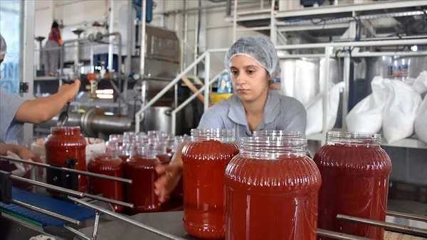 Türkiye'nin salça ihracatı koronavirüsün de etkisiyle yüzde 45 artarak 67 milyon dolara yükseldi-3