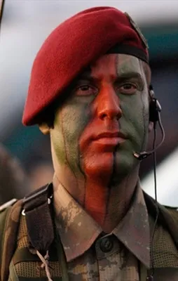 Bordo Bereliler operasyonlara katılıyor