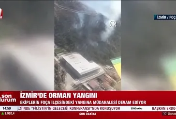 İzmir Foça'da orman yangını!