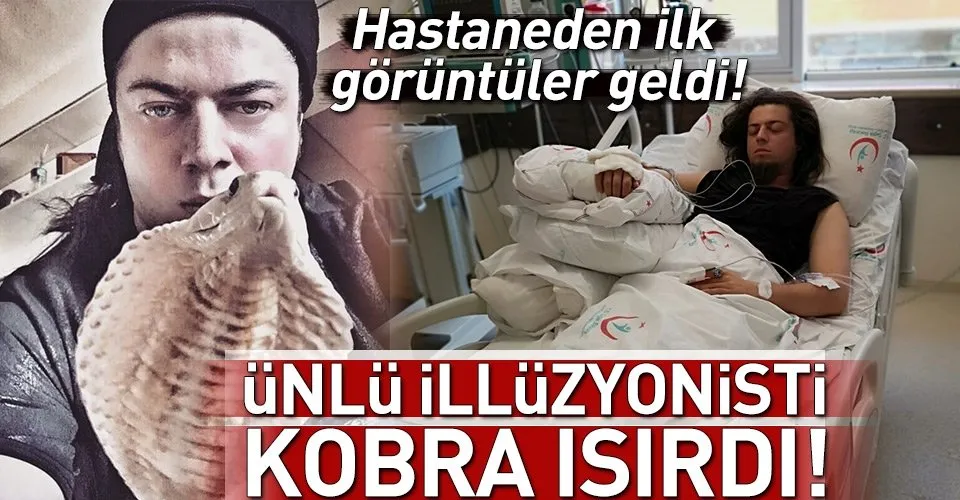 kobra zehri