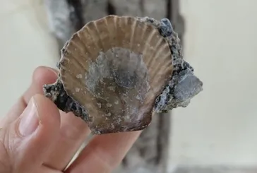 Kız Kulesi’nde sona doğru! Restorasyon yapılmadan önce duvarlarında midye kabuğu vardı