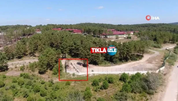 İBB hayvan barınağında vahşet videosu! Toplu mezarda onlarca kedi ve köpek ölüsü bulundu!