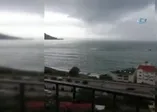 Bir anda ortaya çıktı! Görenleri korkuttu