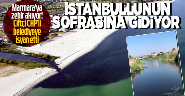 Çevreciler İSKİ'nin katliamına sessiz kaldı! Vatandaşlar isyan etti: Biz bu sudan tarımsal üretim yapmaya çalışıyoruz