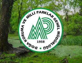 Tarım ve Orman Bakanlığı 20 sözleşmeli personel alacak! DKMP işçi alımı kadroları neler?