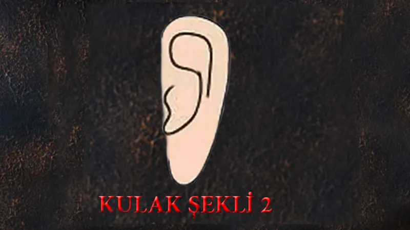 kulak-sekliniz-buysa-en-guclu-sezgileri-olan-kisileri-sak-diye-ortaya-cikiyor-1711887513400.jpg Kulak şekliniz buysa en güçlü sezgileri olan kişileri şak diye ortaya çıkıyor-3