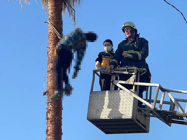 agac-tepesinde-oldu-budamak-icin-ozel-aparatla-cikti-rahatsizlaninca-yardim-gelmedi-1650959141314.jpg Ağaç tepesinde öldü! Budamak için özel aparatla çıktı rahatsızlanınca yardım gelmedi-3