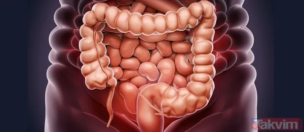 Kilo Kaybında Lifin Etkisi: Sayılarla Gerçekler Bardwell'in Kliniğindeki Bir Vaka Çalışması, Lifin Gücünü Somut Bir Şekilde Ortaya Koyuyor. Rafine Karbonhidrat...