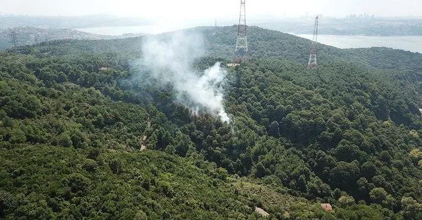 Son dakika: Anadolu Kavağı’nda korkutan orman yangını