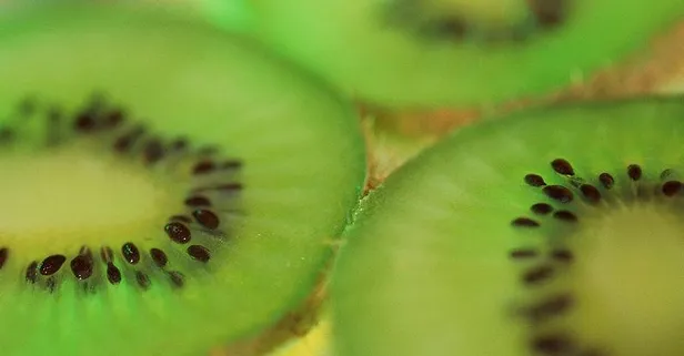 Kivi kanser düşmanı