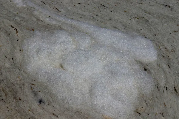 Marmara'daki müsilaj Ege Denizi'ne yayılır mı?-3