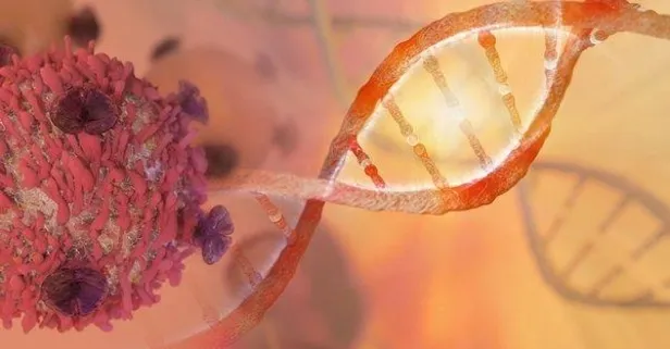 Kansere karşı önlem alın