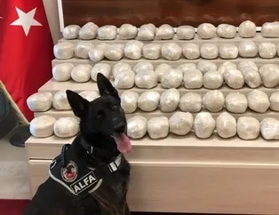 Van’da dev uyuşturucu vurgunu