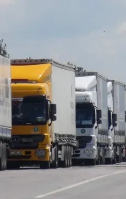 Komşu kriz peşinde