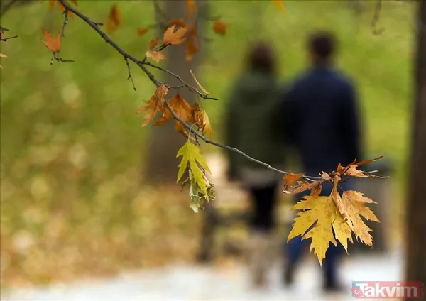 Çevre, Şehircilik ve İklim Değişikliği Bakanı Mehmet Özhaseki: Son 53 yılın en sıcak ikinci Şubat'ı - 2
