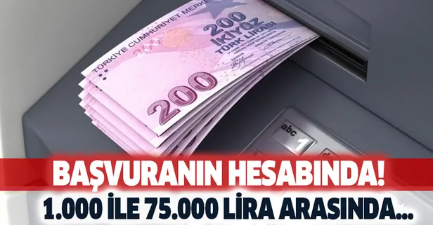 Başvuranın hemen hesabına yatıyor! En az 1.000, en fazla 75.000 TL kredi avantajı! Komisyon, masraf yok...