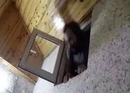 Denizlide 4 FETÖ firarisi hücre evindeki gizli bölmede yakalandı! İşte o anlar...