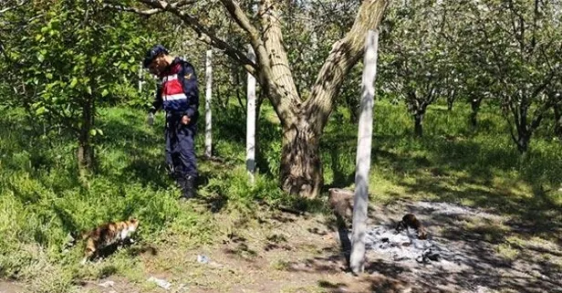 Bursa'da alkol masasında silahlı kavga!