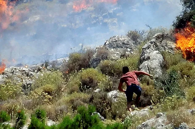 Son dakika: Balıkesir'de orman yangını