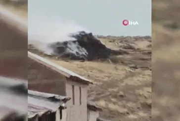 Erciş’te yıldırım düştü: 3 bin bağ ot yandı