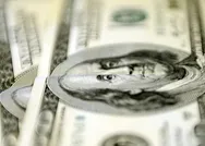 Dolar ve euro ne kadar oldu? Dolar alış satış fiyatı kaç TL? 24 Kasım CANLI döviz kurları