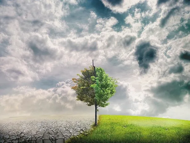 SON DAKİKA: BM raporu açıkladı: İklim değişikliğiyle ilgili kritik uyarı-5