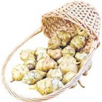 Hemoroide yer elması