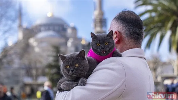 Tarihin Derinliklerinden Gelen Dostluk İstanbul'daki Kedi Kültürünün Kökleri Oldukça Eskiye Dayanır. Kedilerle İnsanların İlişkisi, Antik Mısır Ve Anadolu...