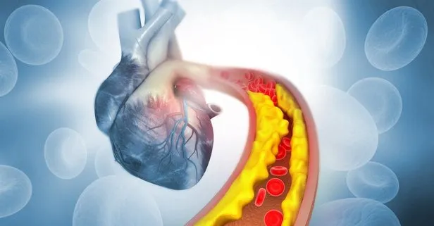 Kolesterol, kalp sağlığını tehdit ediyor Sağlık haberleri