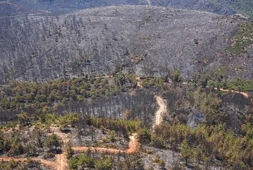 İşte felaketin çıkış anı!