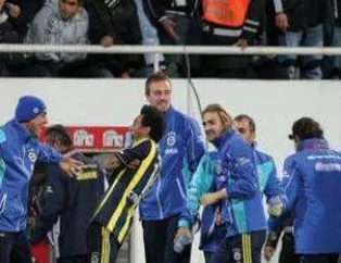 Derbi geyikleri