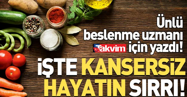 Dr. Michael Greger: Sindirimin şifresi zeytin!