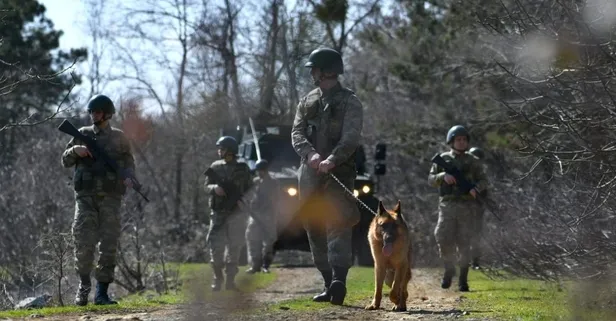 FETÖ'cü eski Danıştay tetkik hakimi Yunanistan'a kaçarken yakalandı!