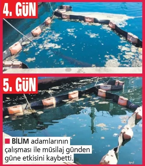 Bilim insanları, deniz salyasını bitirmek için laboratuvara girdi: Müjdeli haber İstanbul Üniversitesi'nden geldi-4