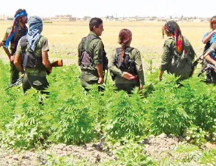 Bebek katili PKK Avrupa'nın uyuşturucu baronu! ‘Balkan rotası’ndan Avrupa sokaklarına! Zehirliyorlar