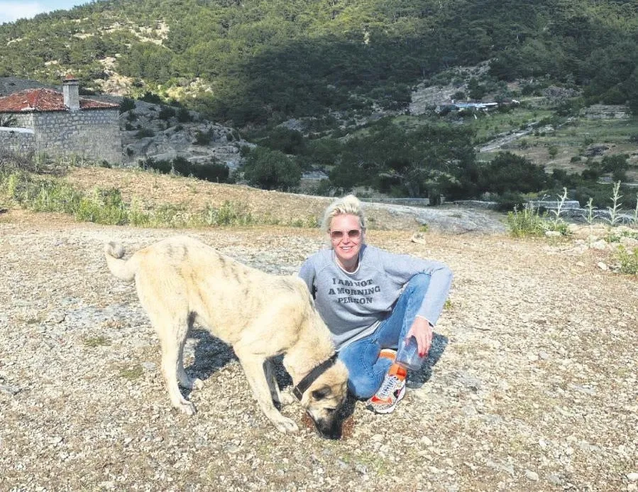 300 milyonluk barınak