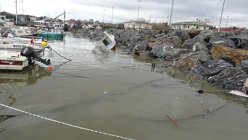 Pendik sahilinde çevre felaketi: Deniz kirli koku yoğun-5