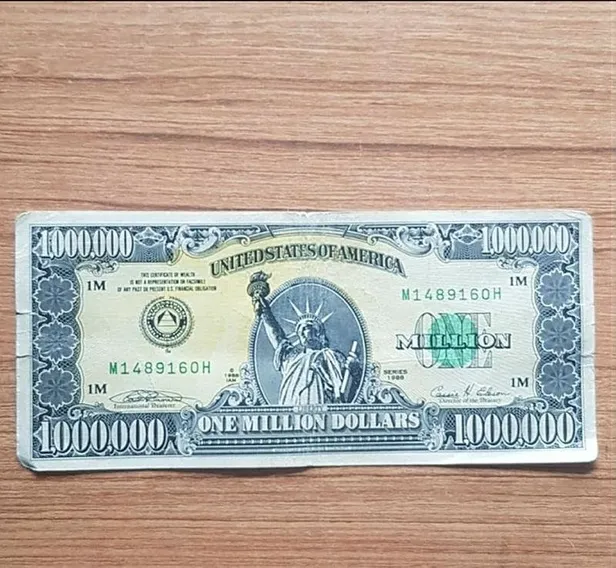 Uşak'ta ‘Amerikan rüyası'nın sembolü 1 milyon dolarlık banknot ele geçirildi-3