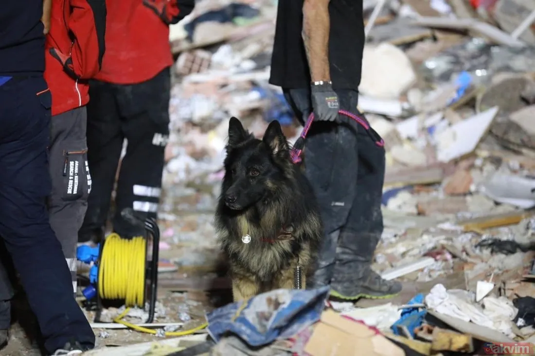 İzmir�deki 6,6 büyüklüğündeki deprem sonrası arama kurtarma köpekleri