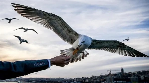 HAVA DURUMU | Meteoroloji'den Marmara Bölgesi'ne son dakika uyarısı! | 1 Temmuz 2020 hava durumu-3