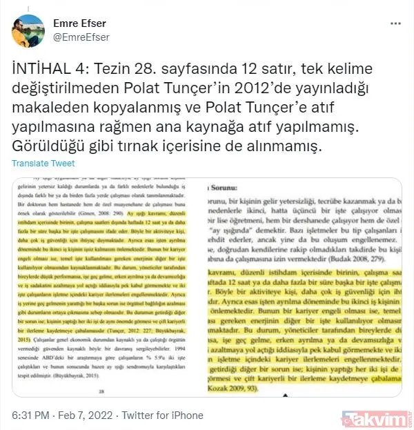 CHP'li İBB Başkanı Ekrem İmamoğlu'nun eşi Dilek İmamoğlu'nun tezinde sayfalarca intihal çıktı - 8