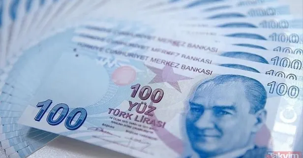 358 milyon TL destek hesaplara yattı