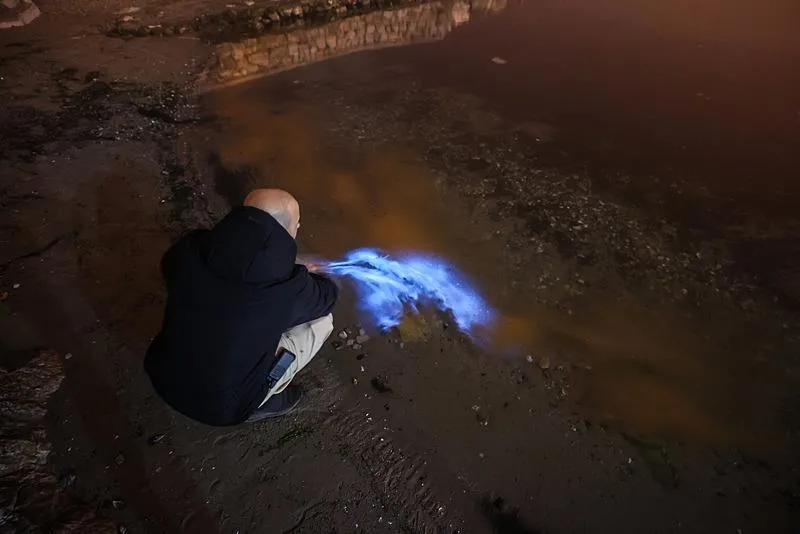 Bursa'da şaşırtan görüntü! Marmara kıyılarında planktonların çoğalmasıyla deniz suyu yer yer renk değiştirdi: Mavi renkli parlamalar ortaya çıktı-3