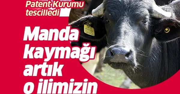 Manda Kaymagi Bolu Nun Tescilli Urunu Oldu Takvim