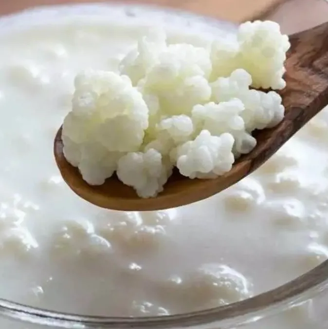 Böbreğe kefir