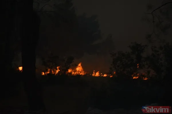 İzmir'deki yangın kontrol altına alındı! Bakan Yumaklı bölge bölge son durumu açıkladı - 23