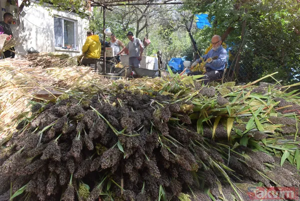Kilosu 100 lira! Pişmesi 10 saati bulan şeker kamışı pekmezi yok satıyor - 16