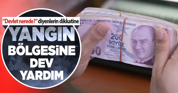 Son dakika: AFAD açıkladı: Orman yangınlarından etkilenen bölgelere 72,5 milyon lira nakdi yardım